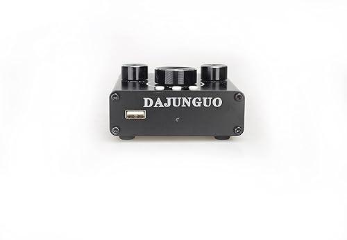 DAJUNGUO AUDIO Amplifiers Bluetooth Input and 3.5mm Aux Input,2.0 Channel Stereo Amplifier 100W*2 Power Output,Black