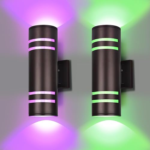 rosykite Smart Outdoor Wall Lights Color Changing 2 Pack, RGB+2700K-6500K Modern Exterior Lighting Fixtures Cylinder Outside Wall Sconce with Glass