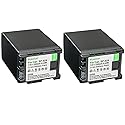 Kastar 2-Pack BP-828 Battery 7.4V 3300mAh Replacement for Canon BP-820 BP820, BP-828 BP828 Battery, Canon CG-800 CG800 Charger, Canon VIXIA HF G50 UHD