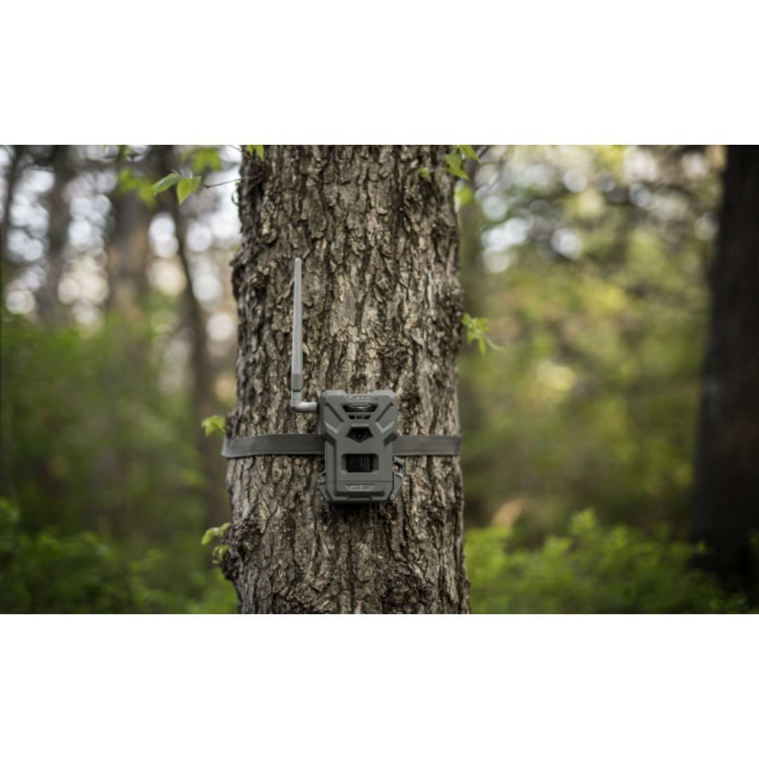 SPYPOINT Flex-M Solar Bundle - Cellular Trail Camera with Solar Panel, Best in Hunting Accessories, No WiFi Needed, GPS, Night Vision, Motion