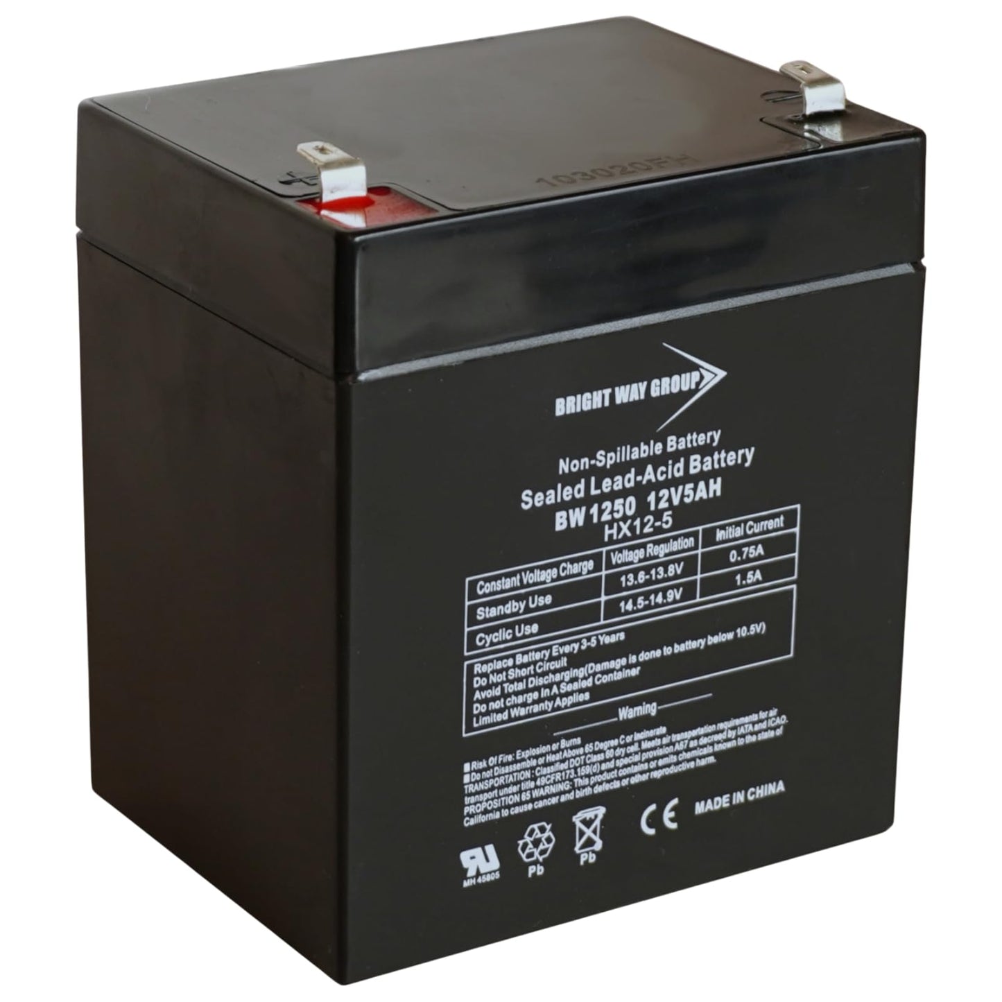 Bright Way Group BW1250-F1, BW 1250 (0124), BWG 1250 T1 Battery, 12V 5Ah