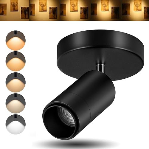 Ajbvp LED Ceiling Spotlight Directional Lighting Indoor Spotlights(Black)