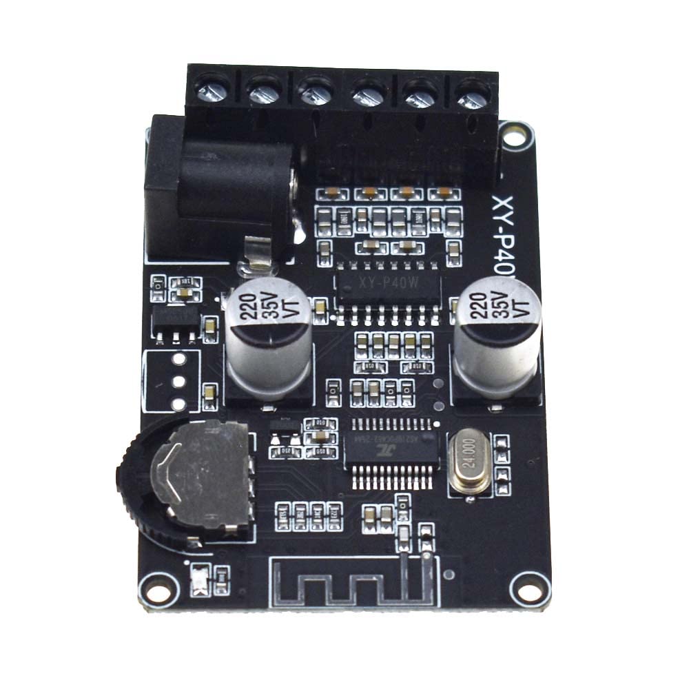 Reland Sun XY-P40W 30W 40W Stereo Power Amplifier Board 12V 24V (XY-P40W bare board)