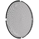 Rockford Fosgate P3 Shallow 12-Inch Subwoofer Grill