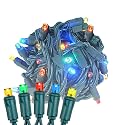 Novelty Lights 50ft 100 LED Multicolor Christmas Lights Outdoor/Indoor, 6" Spacing, Green Wire String Lights for Festive Xmas Lighting, IP55, UL