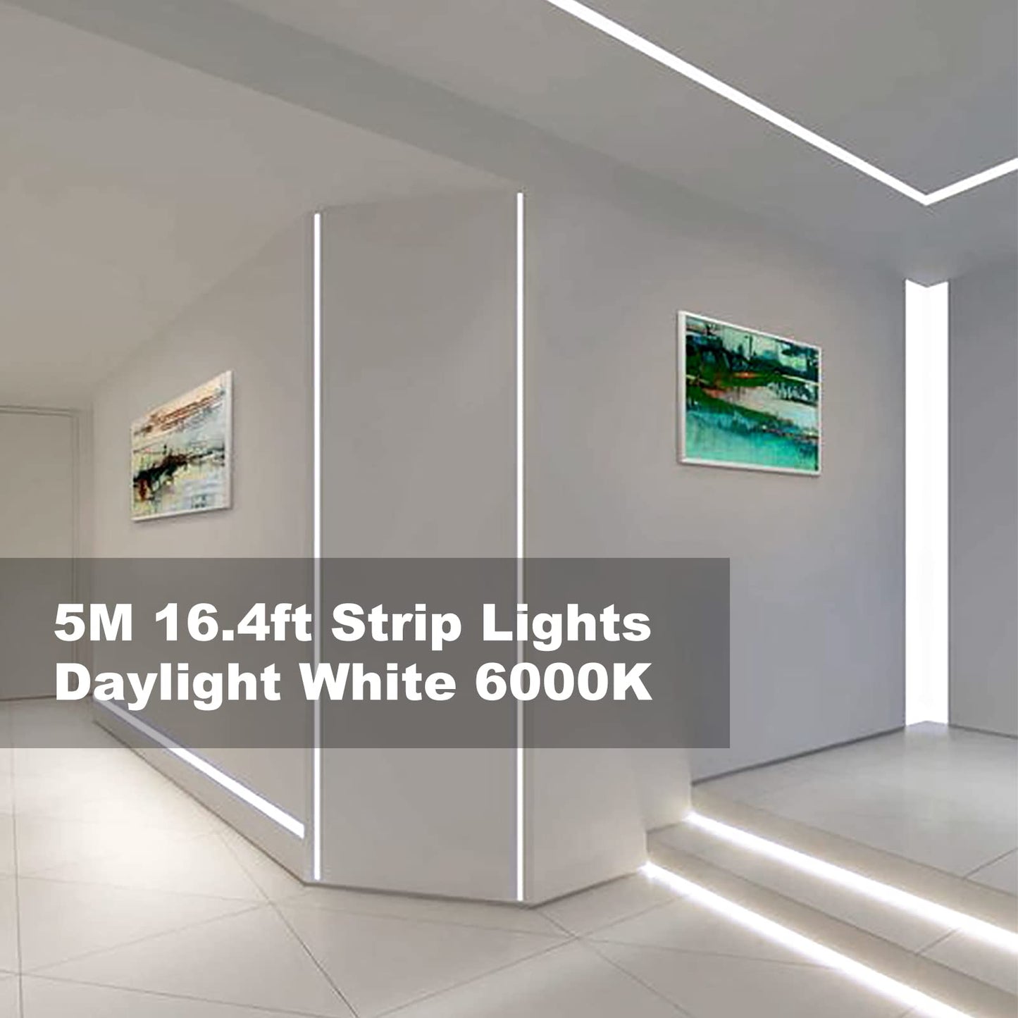 KOPMHYE 5M Dimmable LED Strip Lights Kits, 12V Tape Light, 300 2835 LED, 16.4ft 6000K Daylight White Ribbon with Power Adapter, Light Strips for Under