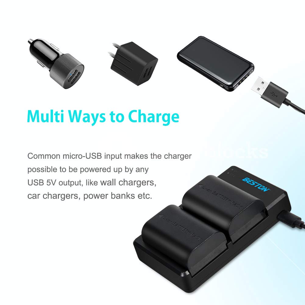 BESTON 2-Pack LP-E6N Batteries & Dual Battery Charger for Canon EOS R, R5, 60D, 70D, 80D, 90D, 5D Mark II, III, IV, 6D Mark II, 7D Cameras