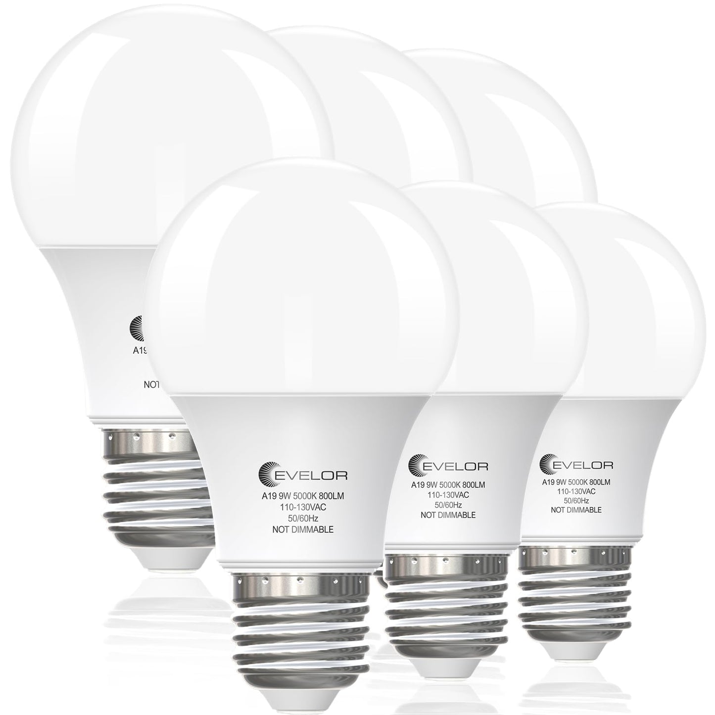 evelor 6-Pack A19 LED Light Bulbs,60 Watt Equivalent,Daylight 5000K