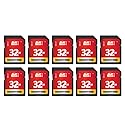 GIGASTONE 32GB SD Card 10-Pack UHS-I U1 Class 10 SDHC Memory Card High-Speed Full HD Video Compatible with Canon Digital Camera, SPYPOINT TACTACAM