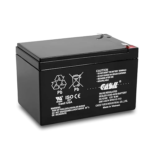 Casil 12V 10Ah SLA AGM Battery - Rechargeable Deep Cycle - F2 Terminals - Compatible with Long Way LW-6FM10, 12V 12Ah Battery Replacement