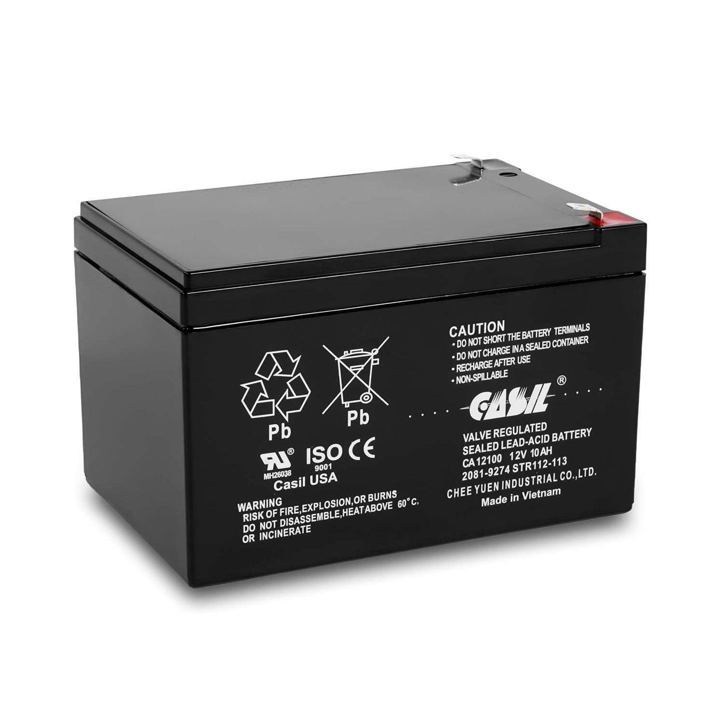 Casil 12V 10Ah SLA AGM Battery - Rechargeable Deep Cycle - F2 Terminals - Compatible with Long Way LW-6FM10, 12V 12Ah Battery Replacement