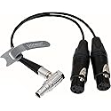 Uonecn 10 Pin to Dual XLR 3 Pin Female Plug Breakout Cable for Atomos Audio Splitter Cable for Shogun Monitor Recorder 30cm