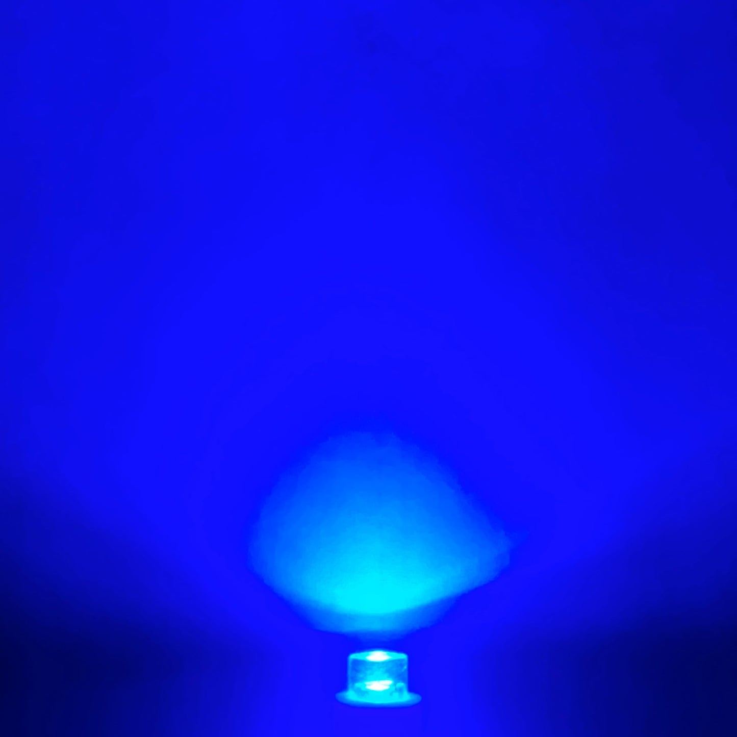 24PSB Telephone Slide Base LED Replacement | 28V (2-Pack; Blue)