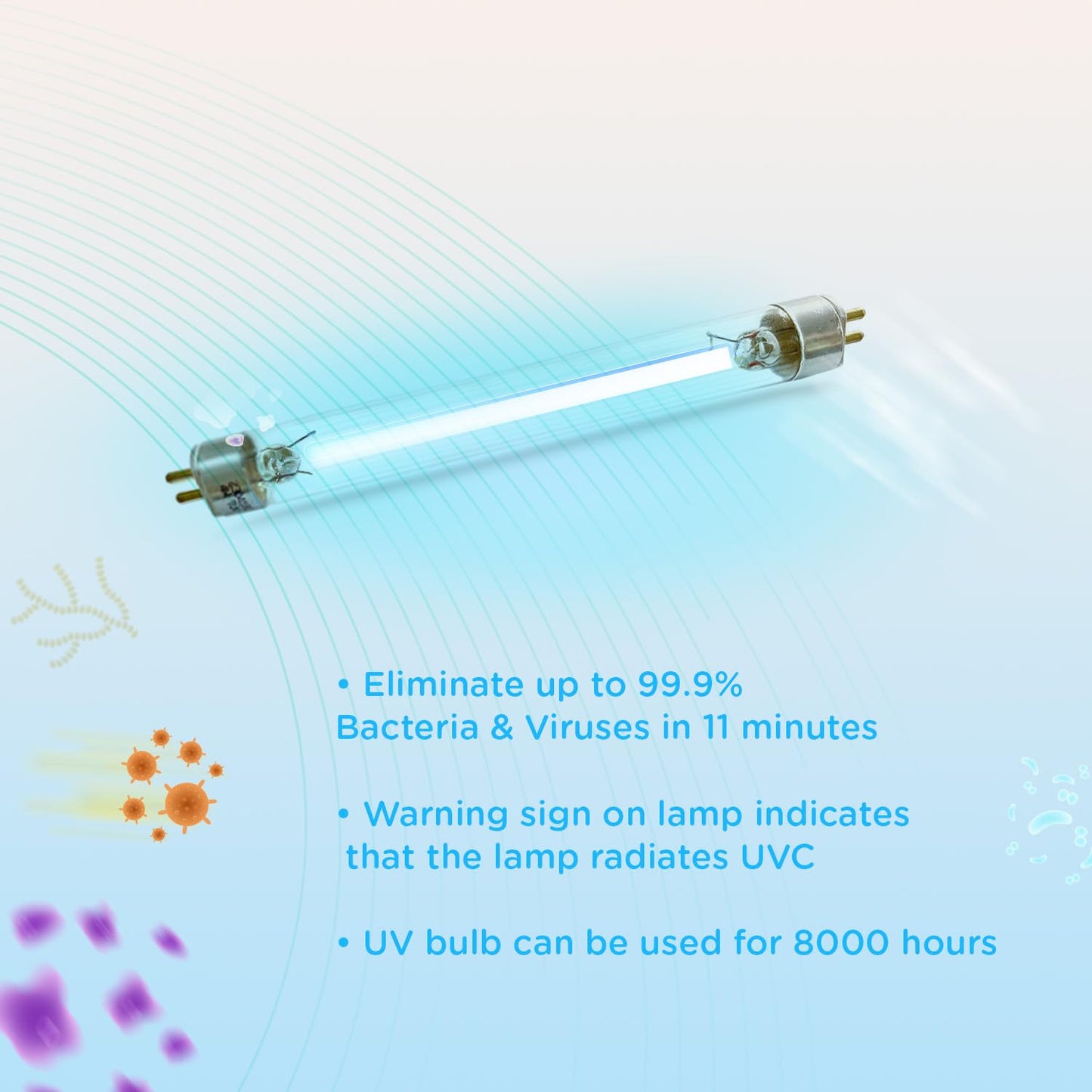 EVLA'S Replacement UV-C Bulb UV Sanitizer Box