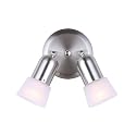 CANARM ICW5251 Ceiling/Wall Omni 2 Light, Chrome