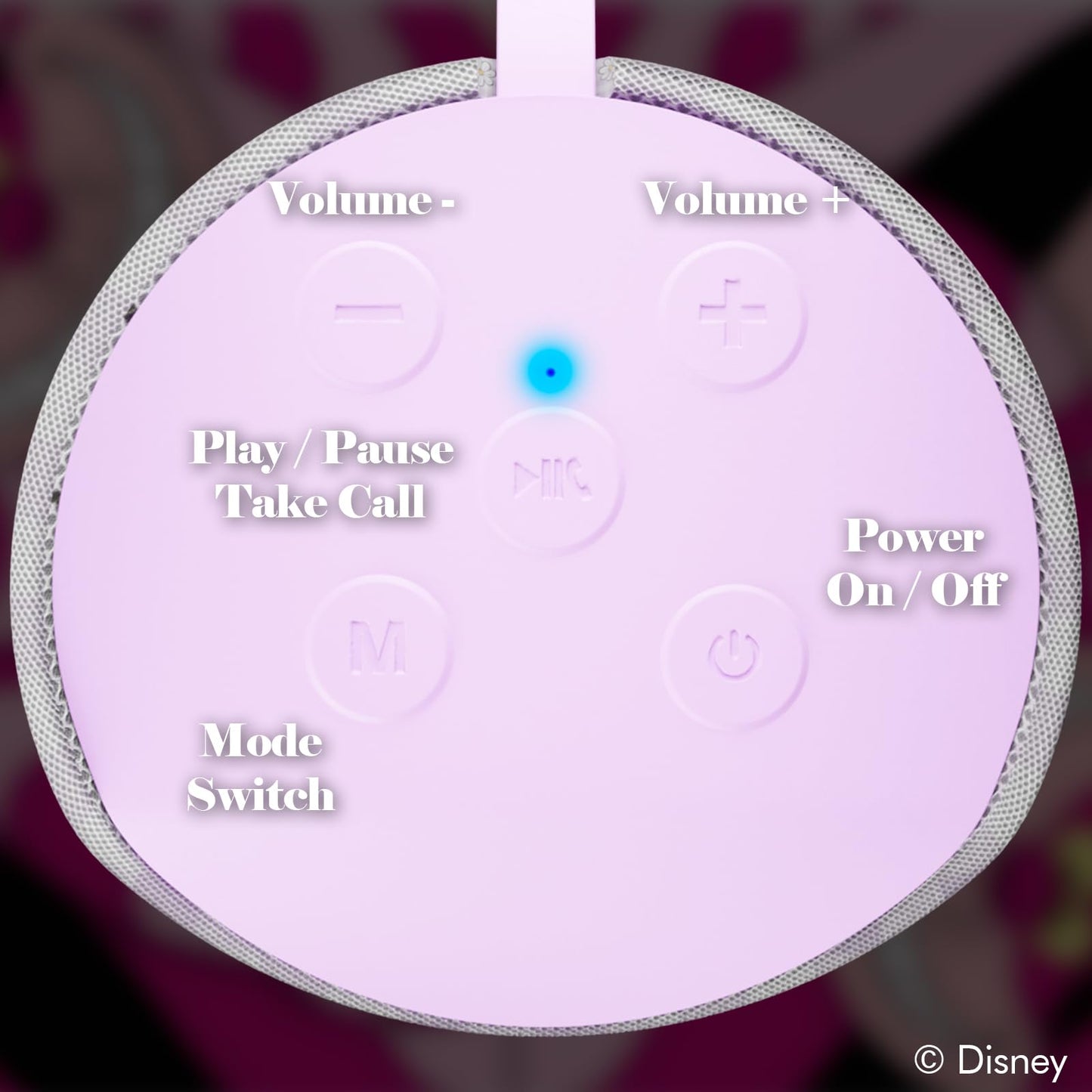 iJoy Disney Alice in Wonderland Bluetooth Speaker- Alice Splashproof Wireless Speaker W/ 3 Hrs Playtime/SD Slot/FM Radio- Alice in Wonderland Gifts