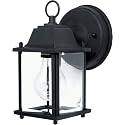 Capital Lighting HomePlace 9850BK Transitional Antique Glass Outdoor Wall Lantern, 1-Light 60 Watt, 8" H x 5" W, Black