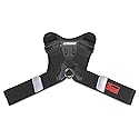 USWE Action Camera Harness - Compatible with All Bounce-Free Backpacks, Keeps GoPro Cameras Steady, Front Mounted on Chest Harness (NDM 1, XXL)