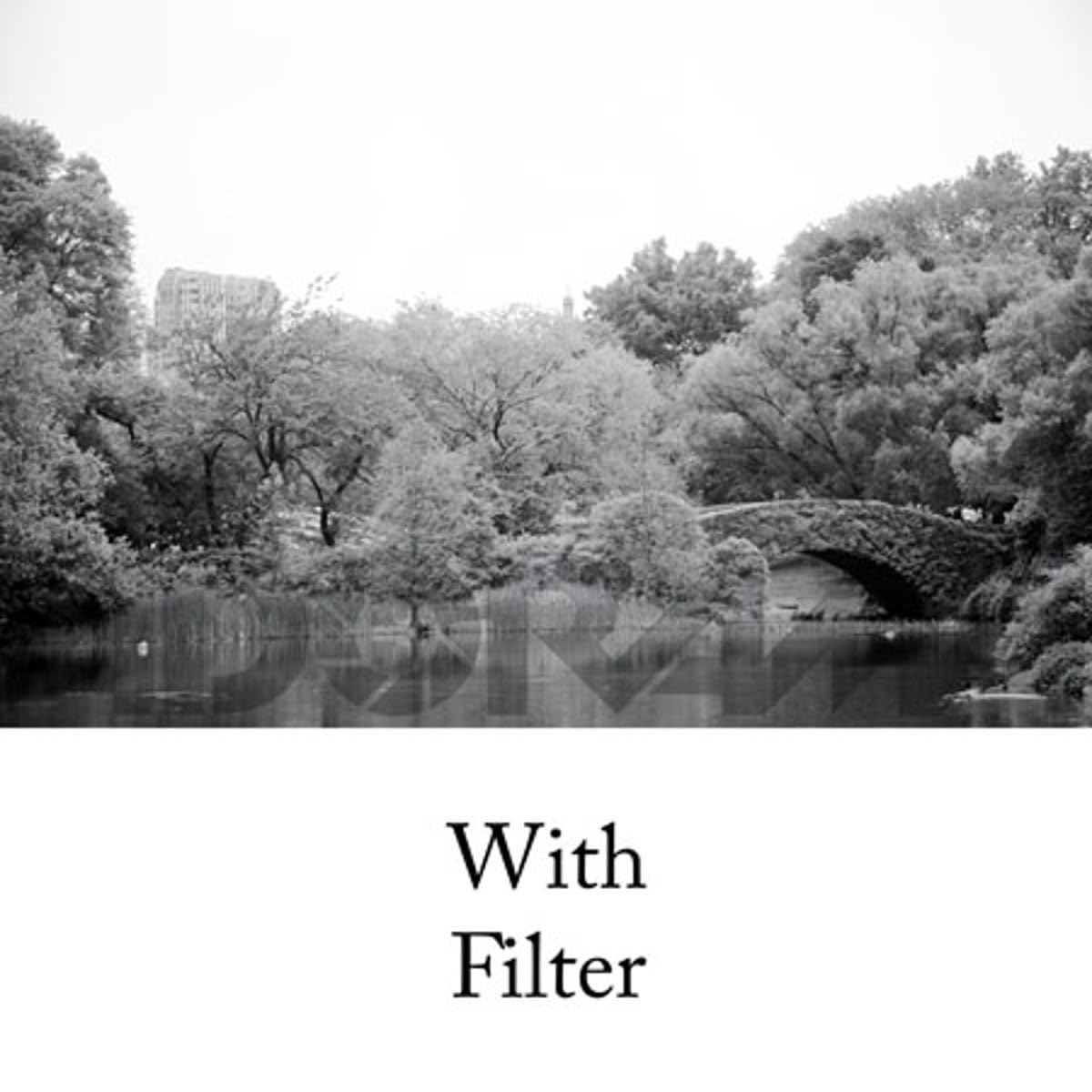 Tiffen 55mm 11 Camera Lens Filter (Green)