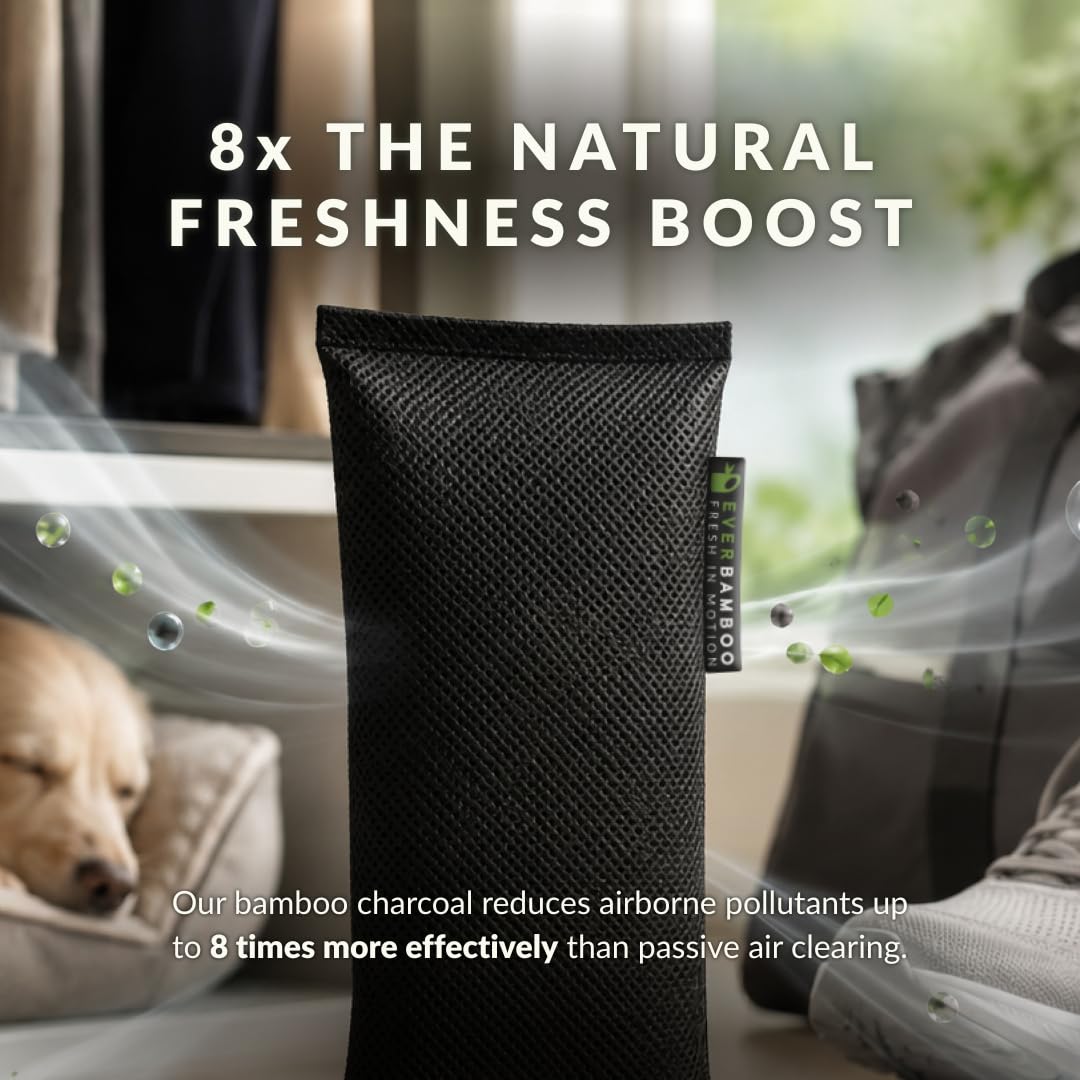 Ever Bamboo Room Deodorizer & Dehumidifier w/ Natural Bamboo Charcoal (200g)