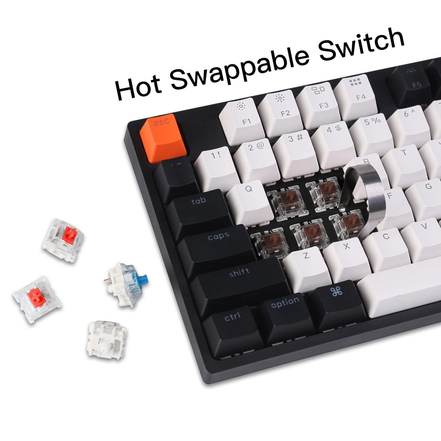 Keychron C2 Full Size Wired Mechanical Keyboard for Mac, Hot-swappable, Gateron G Pro Brown Switch, RGB Backlight, 104 Keys ABS keycaps Gaming