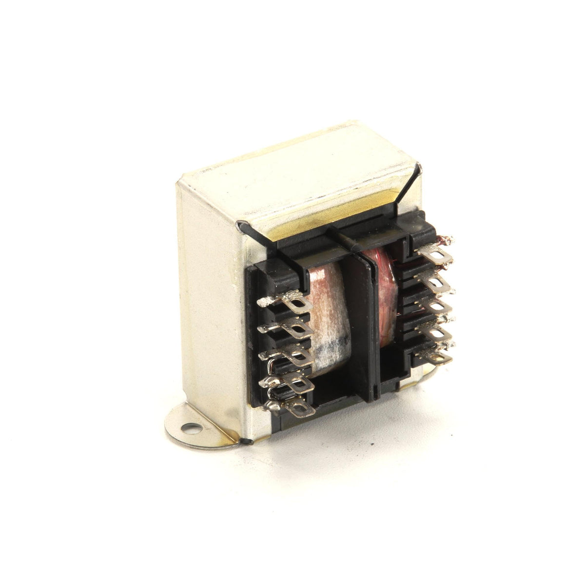 Aj Antunes - Roundup 4010170 Transformer, 250V