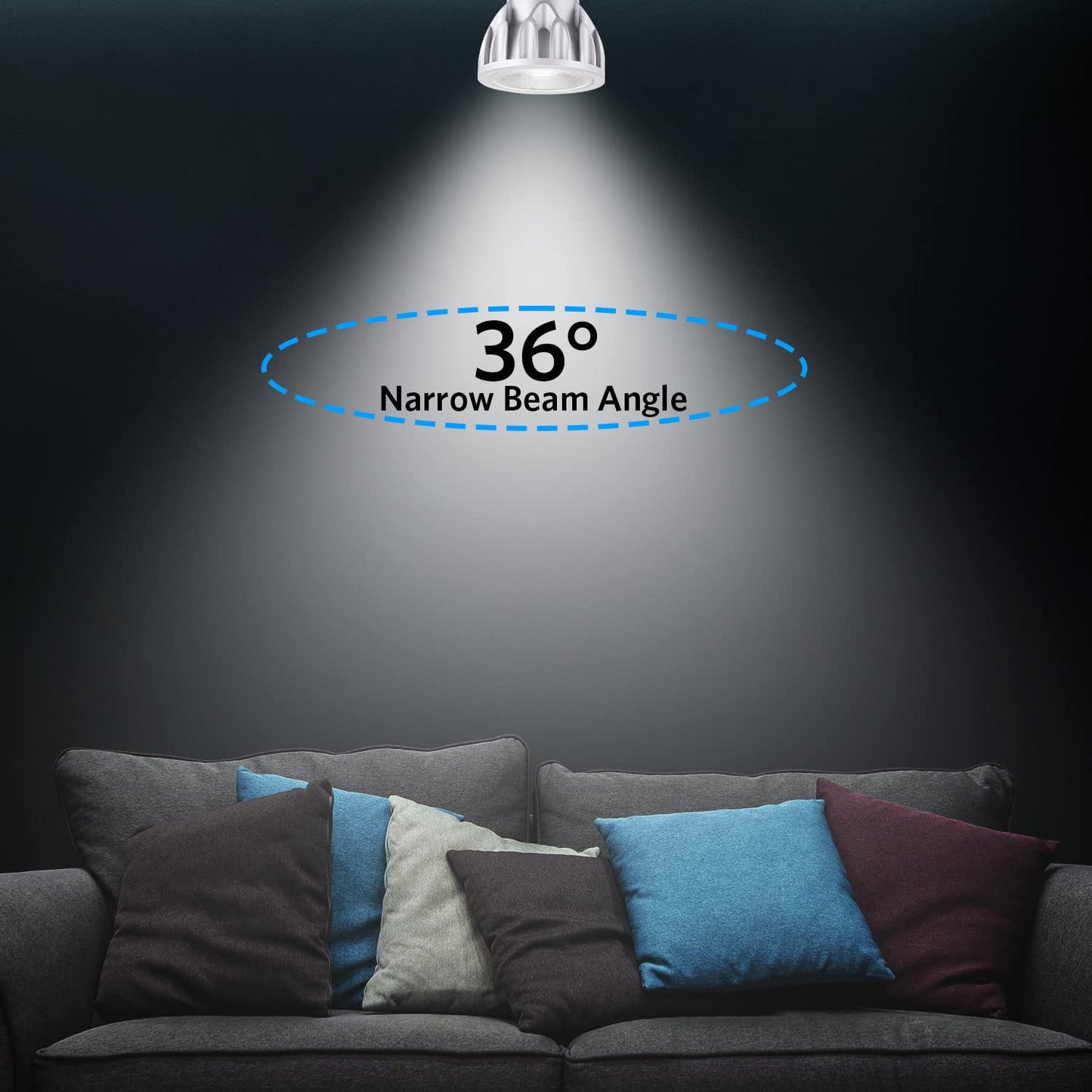 Familite PAR20 LED Bulbs, 12W Dimmable Spot Light, 100W Halogen Equivalent, 36° Narrow Beam Angle, 6000K Cool White, E26 Medium Base for 4’ Cans, Pack
