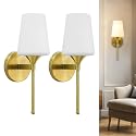 YHTlaeh New Bathroom Vanity Light Fixtures 3 Lights Brushed Brass Glass Shade Modern Wall Bar Sconce Over Mirror (Brushed Brass, 1T)