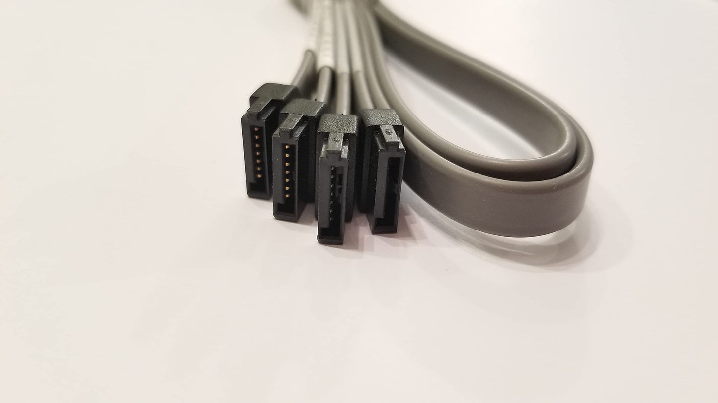 BIZLINK Technology D38474-002 SATA/SAS Cable Connector 24" (2 Quantity)