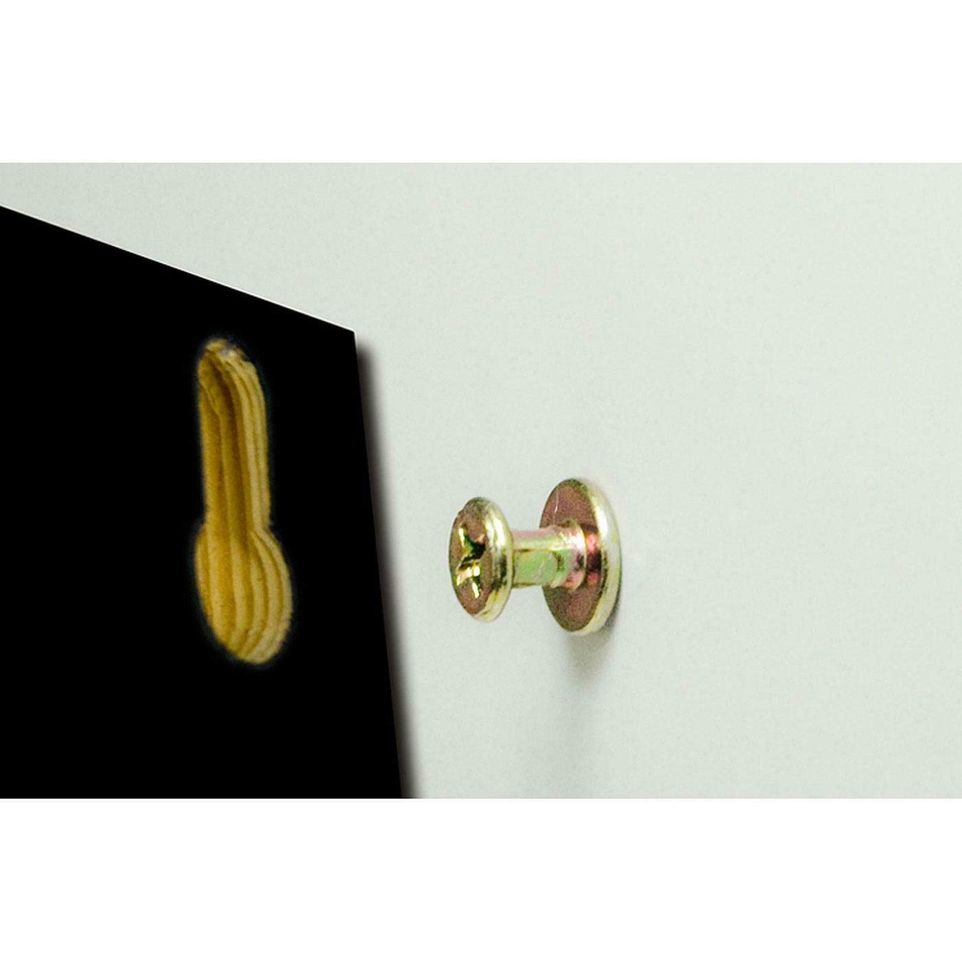 Hangman Products Inc. BCK6-B Speaker Hanging Screws - 6 Pack