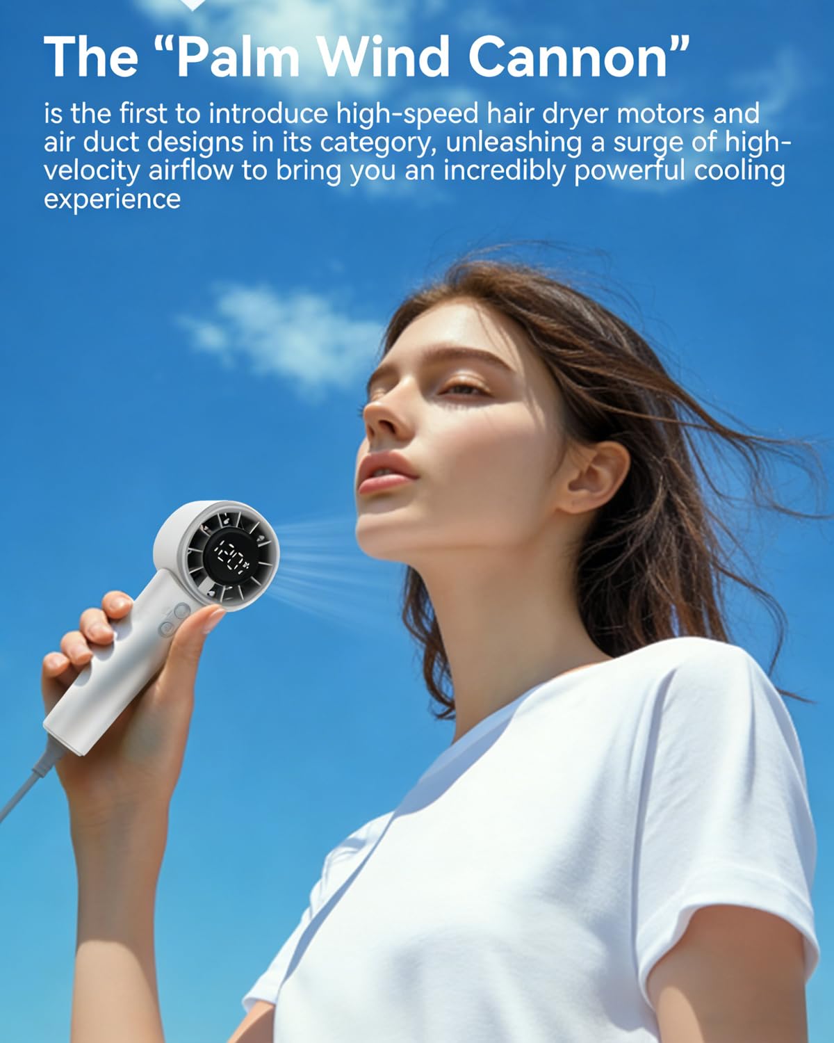 JIJAWA Handheld Portable Turbo Fan, High-Speed, Speed Adjustable (Black)