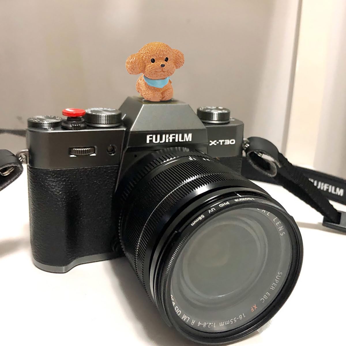 Camera Hot Shoe Cover, Cute Cap and Protector Compatible With Sony Fujifilm Fuji Canon Nikon Pentax Leical Panasonic (2pcs Golden Retriever + Tactic)