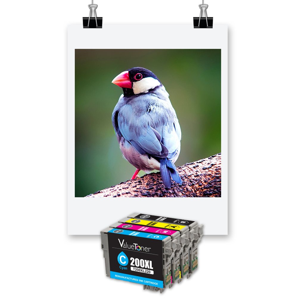 Valuetoner WF-2540 Remanufactured Ink Cartridges for 200xl (4 Black,2 Cyan, 2 Magenta,2 Yellow) 10 Pack for Expression XP-410 XP-400 XP-310 Workforce