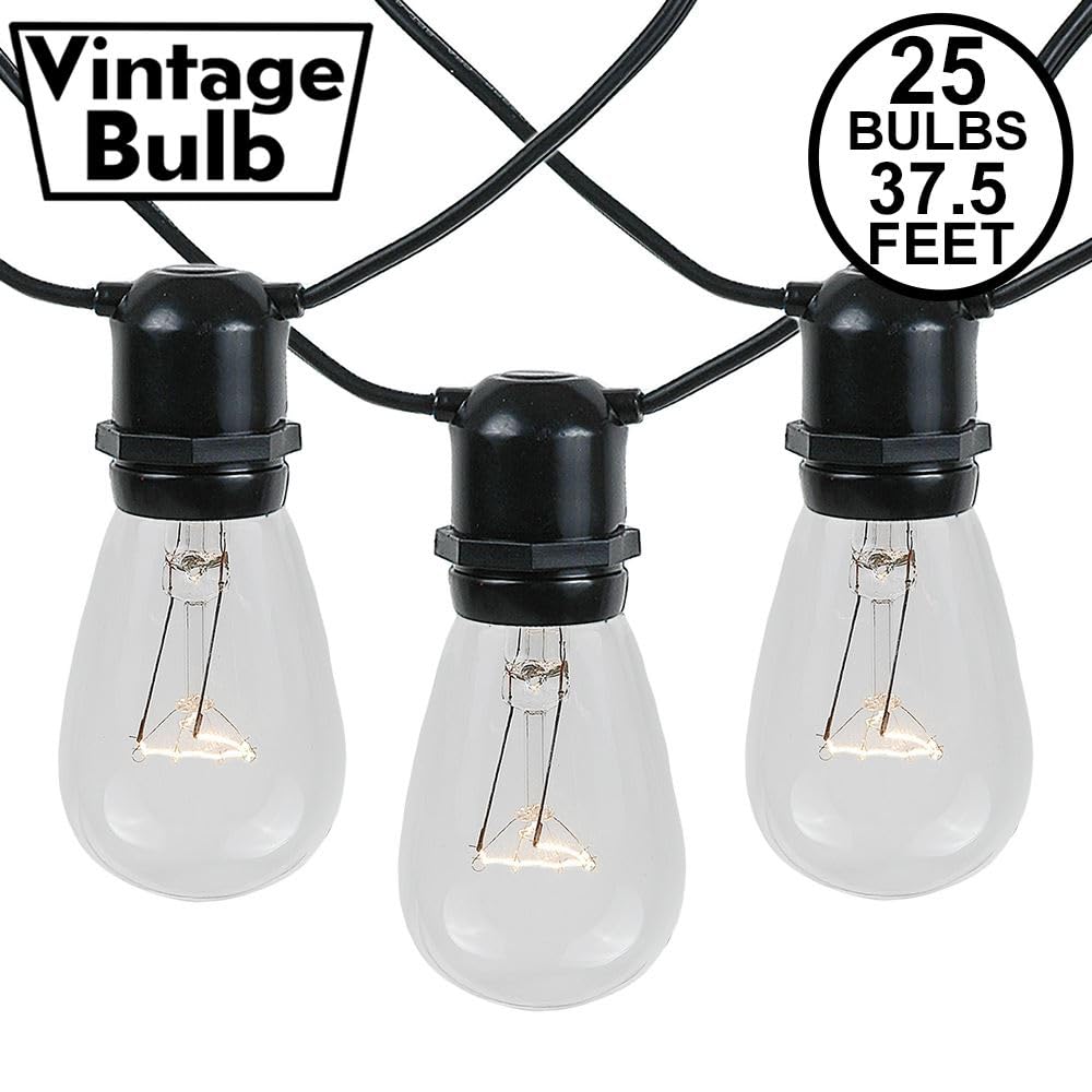 Novelty Lights 37.5 Feet, 25 in-Line E26 Sockets, S14 String Light Set with Clear Incandescent Bulbs, Heavy Duty Black Wire Patio Lights, Weather