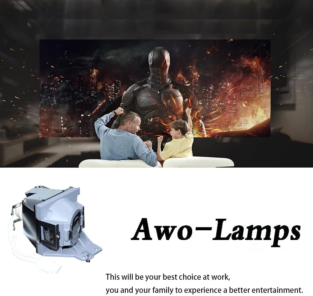 AWO Original P-VIP240W Lamp Bulb for RLC-101 / RLC-104 / RLC-105 with Housing for VIEWSONIC Pro7827HD,PJD7836HDL,PJD7526W,PJD7326,PJD7820HD Projectors
