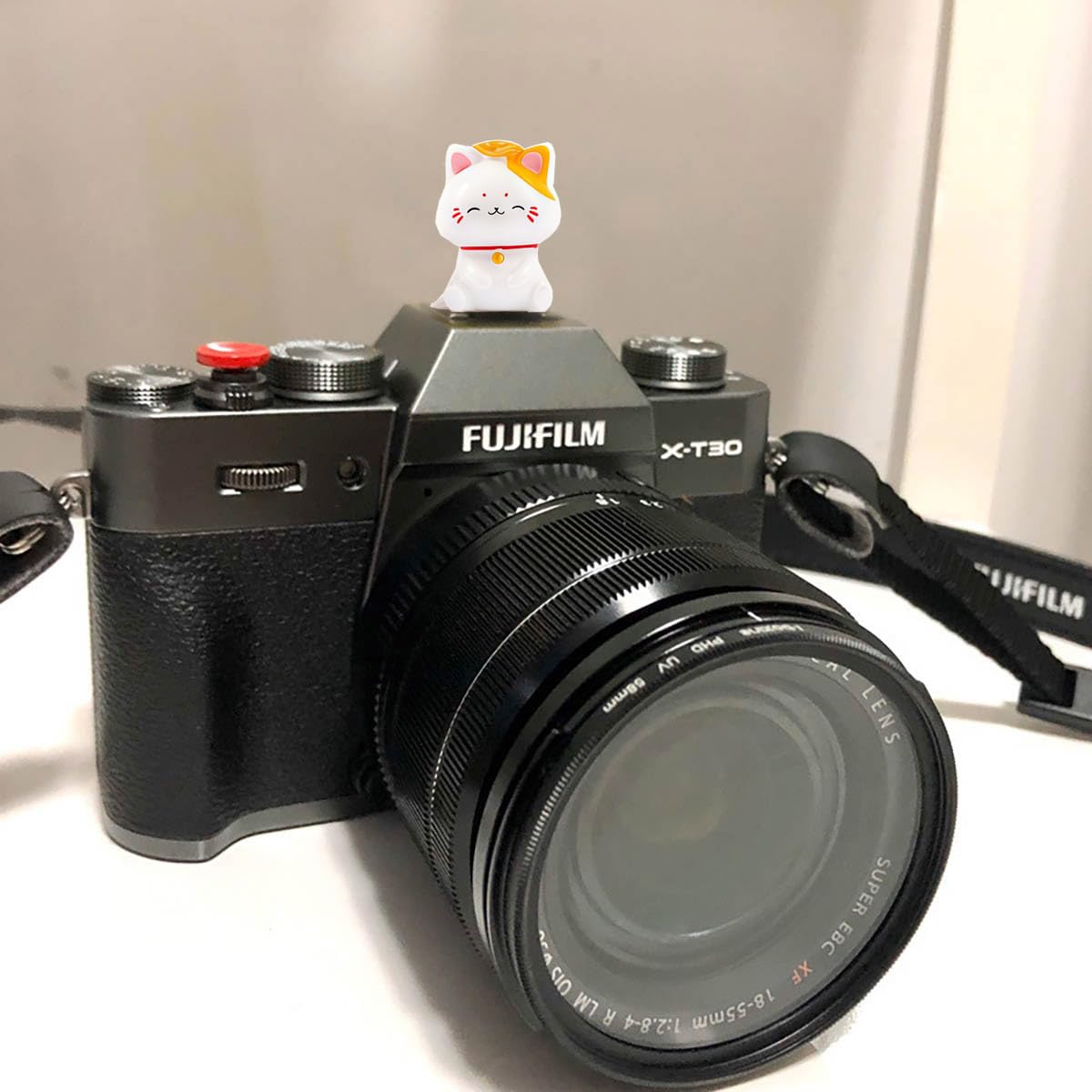 Camera Hot Shoe Cover, Cute Hot Shoe Cap, Hot Shoe Protector Compatible with Sony Fujifilm Fuji Canon Nikon Pentax Leical Panasonic (Lucky Cat)