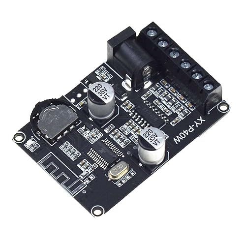 Reland Sun XY-P40W 30W 40W Stereo Power Amplifier Board 12V 24V (XY-P40W bare board)