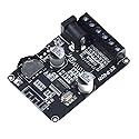 Reland Sun XY-P40W 30W 40W Stereo Power Amplifier Board 12V 24V (XY-P40W bare board)