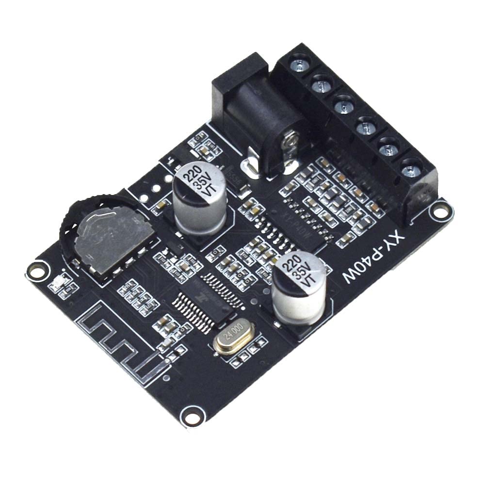 Reland Sun XY-P40W 30W 40W Stereo Power Amplifier Board 12V 24V (XY-P40W bare board)