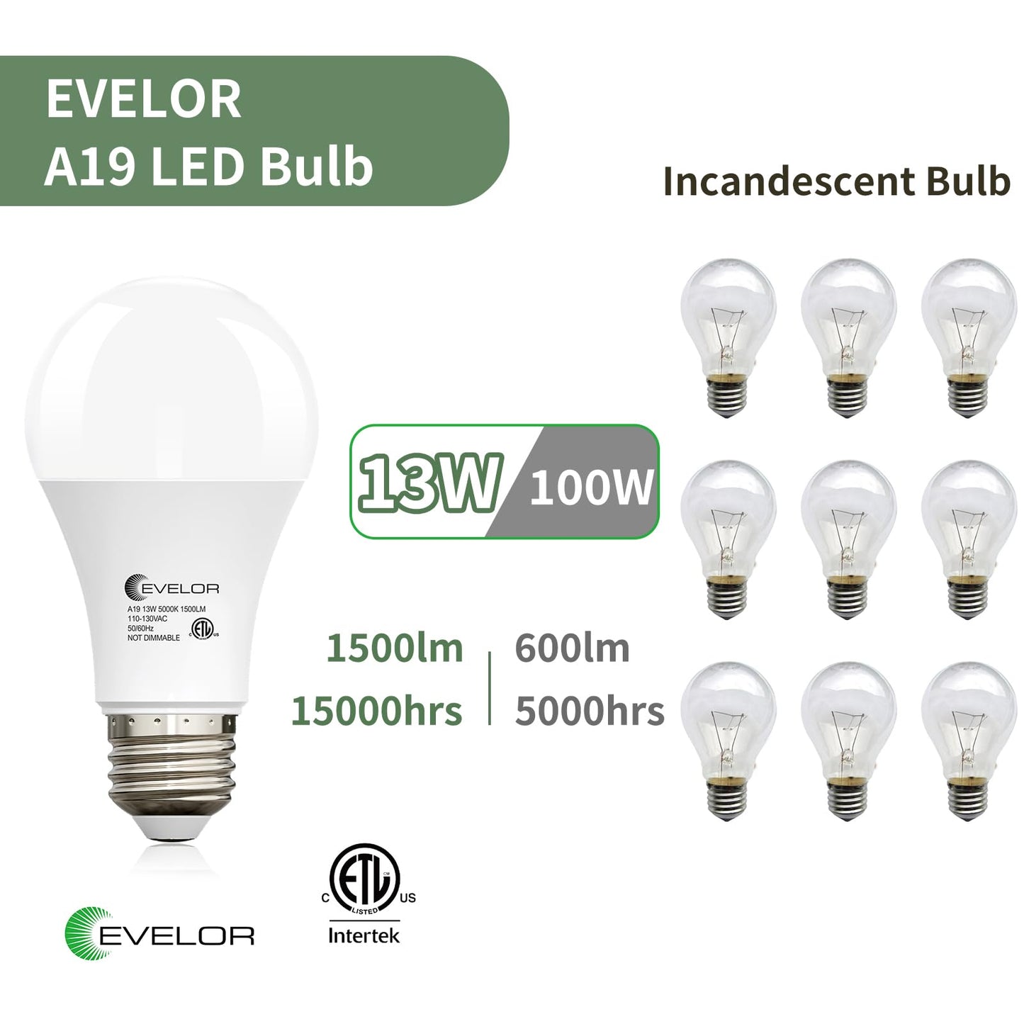 evelor A19 LED Light Bulbs,100 Watt Equivalent Daylight 5000K Efficient 13W,1500 Lumens E26 Base, Non-Dimmable, 15000-Hour Lifespan for Bedroom