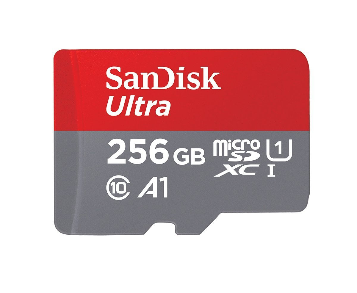SanDisk MicroSD 256GB Ultra Memory Card Works with Wyze Cam v3 Pro, Wyze Cam Outdoor v2 Smart Camera (SDSQUAC-256G-GN6MN) Bundle with (1) Everything