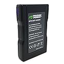 Wasabi Power Gold Mount Battery (95Wh, 14.4V, 6600mAh) Rechargeable Li-ion Battery for Broadcast Video Camcorder, Compatible with Gold Mount Plates