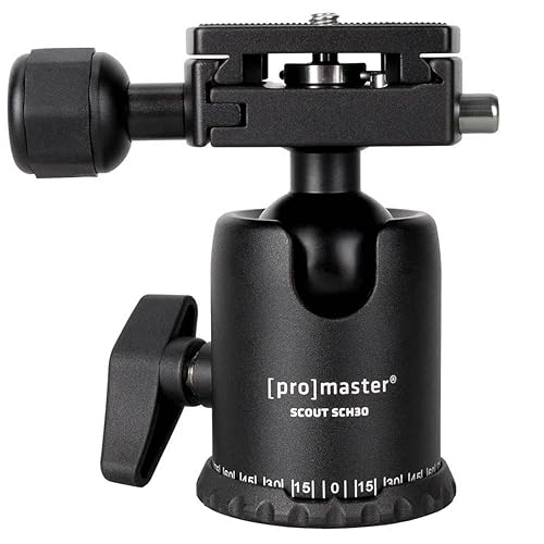 ProMaster Scout Series SCH30 Ball Head - Lightweight and Versatile for Precision Camera Positioning, (Model 5186)