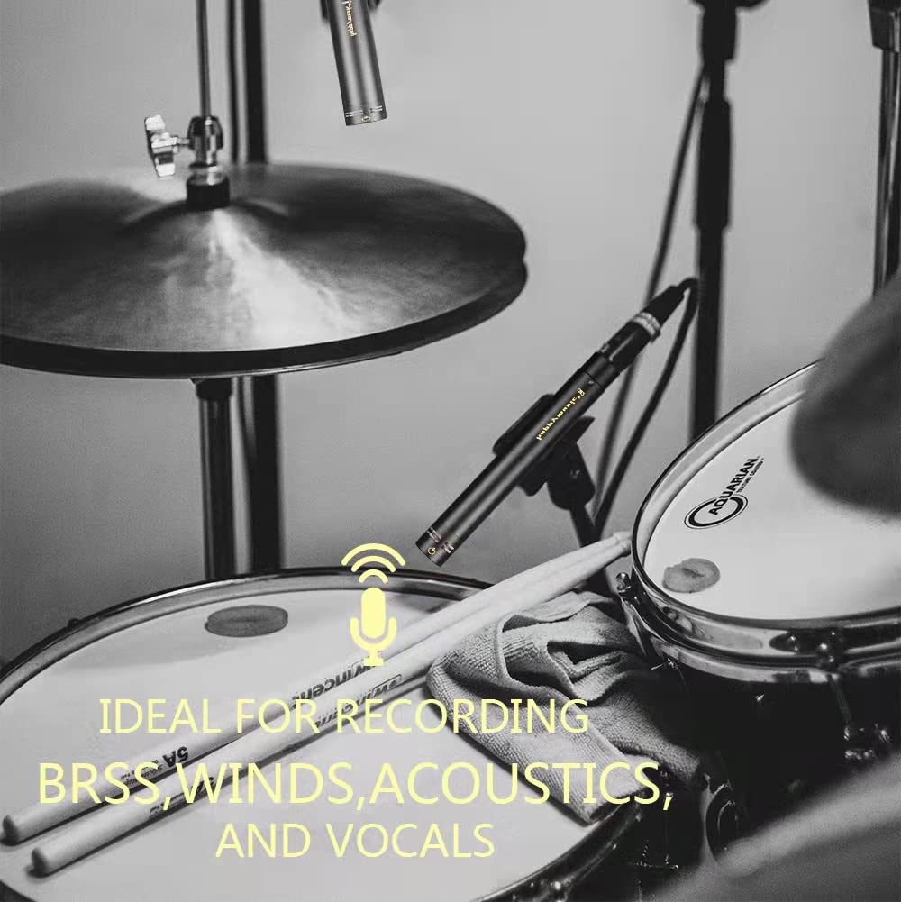 happymusic CM2 Pencil Stick Condenser Microphone?Interchangeable Omni,Cardioid and Super Cardioid Capsules for Acoustic Woodwind Instruments