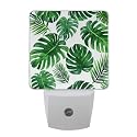 Vdsrup Summer Palm Leaves Night Light Set of 2 Tropical Jungle Plug-in LED Nightlights Auto Dusk-to-Dawn Sensor Lamp for Bedroom Bathroom Kitchen