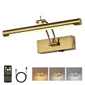 7Degobii Battery Operated Picture Light with Remote,Wireless Gallery Lights Brass 12in Rechargeable Display Light with Flexible Swing Arm,Dimmable