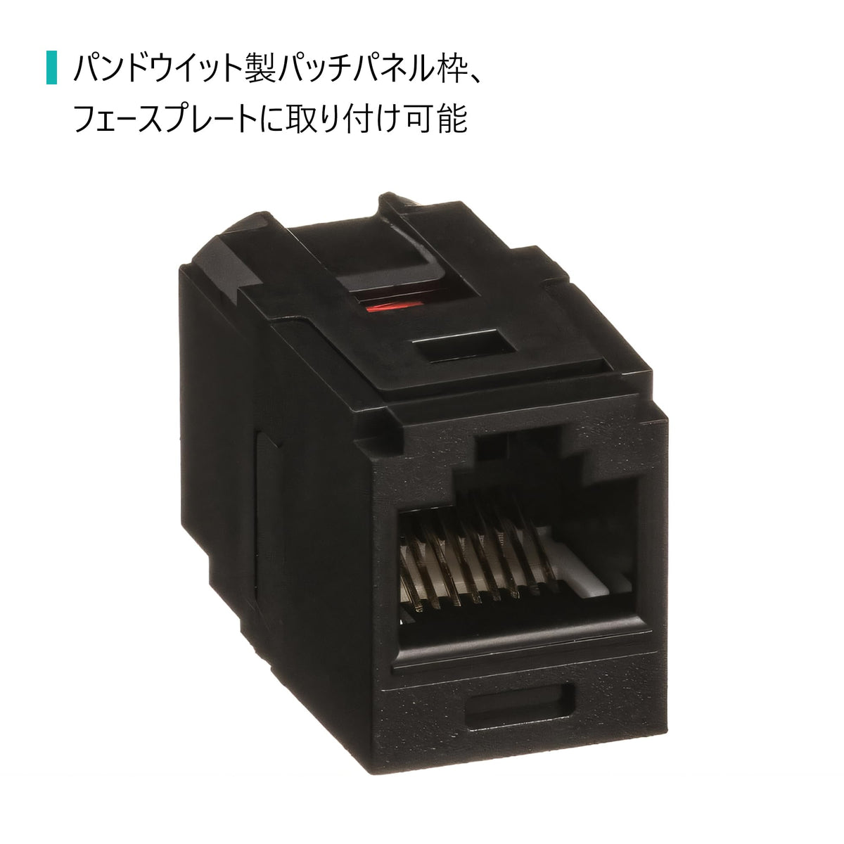 Panduit CC688BL Mini-Com Cat6 UTP Coupler Module Black