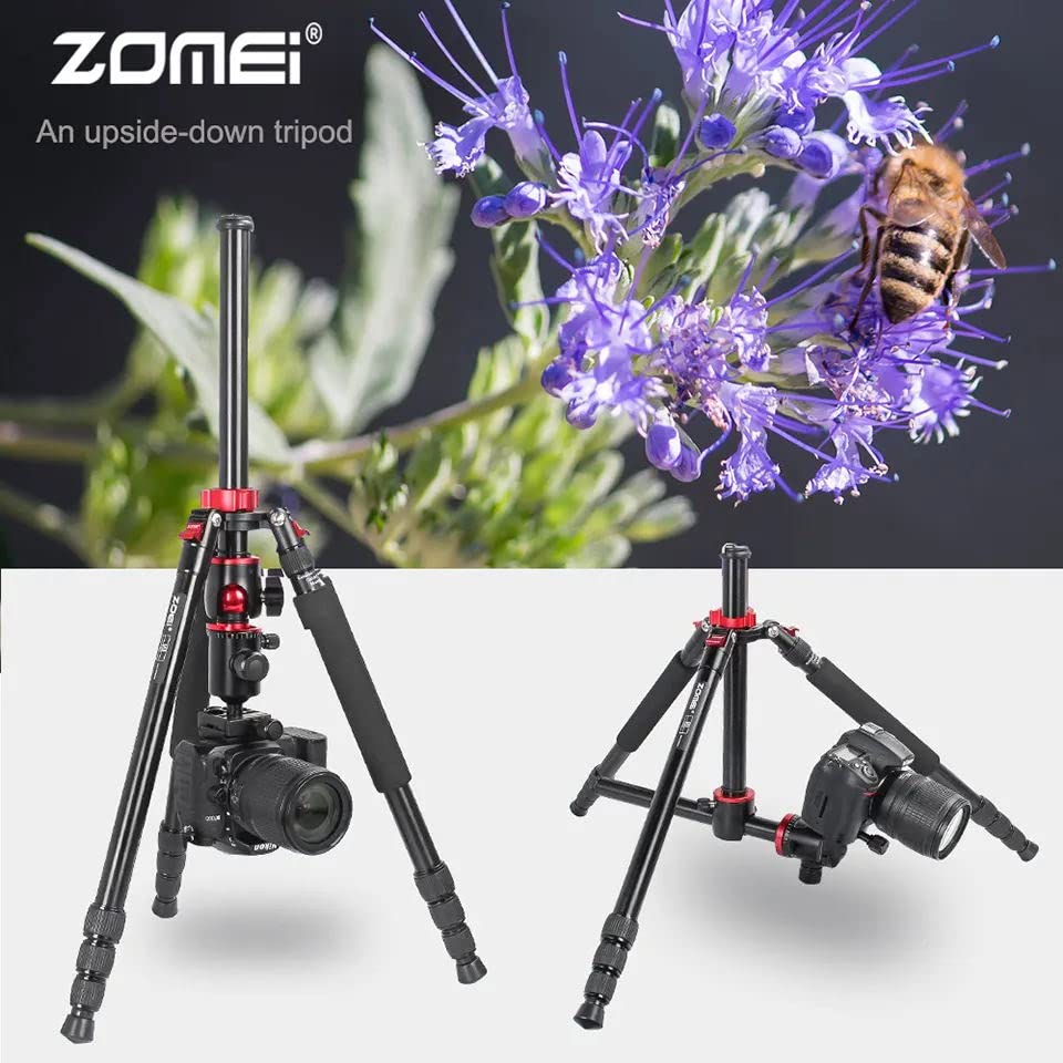 ZOMEi 75'' Tripod,Camera Tripod for DSLR,Ball Head Tripod Professional Tripods 4 Section Horizontal Tripod with 360 Degree Ball Head Plate for Canon