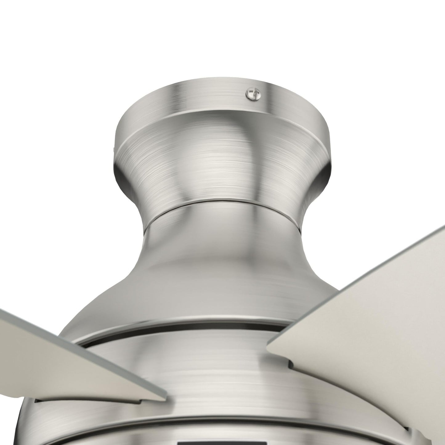 Hunter Fan 44 inch Low Profile Indoor Ceiling Fan with Lights and Pull Chain for Bedroom, Living Room/Family Room, Dining Room, Kitchen, Office