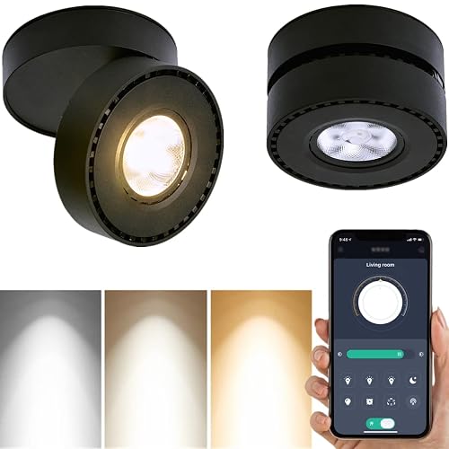 Dimmable Art Ceiling Spotlight LED - 360° Adjustable Surface Mounted Dimming 12W COB Lighting Indoor Ceiling Downlight Aluminum Wall Spot Light